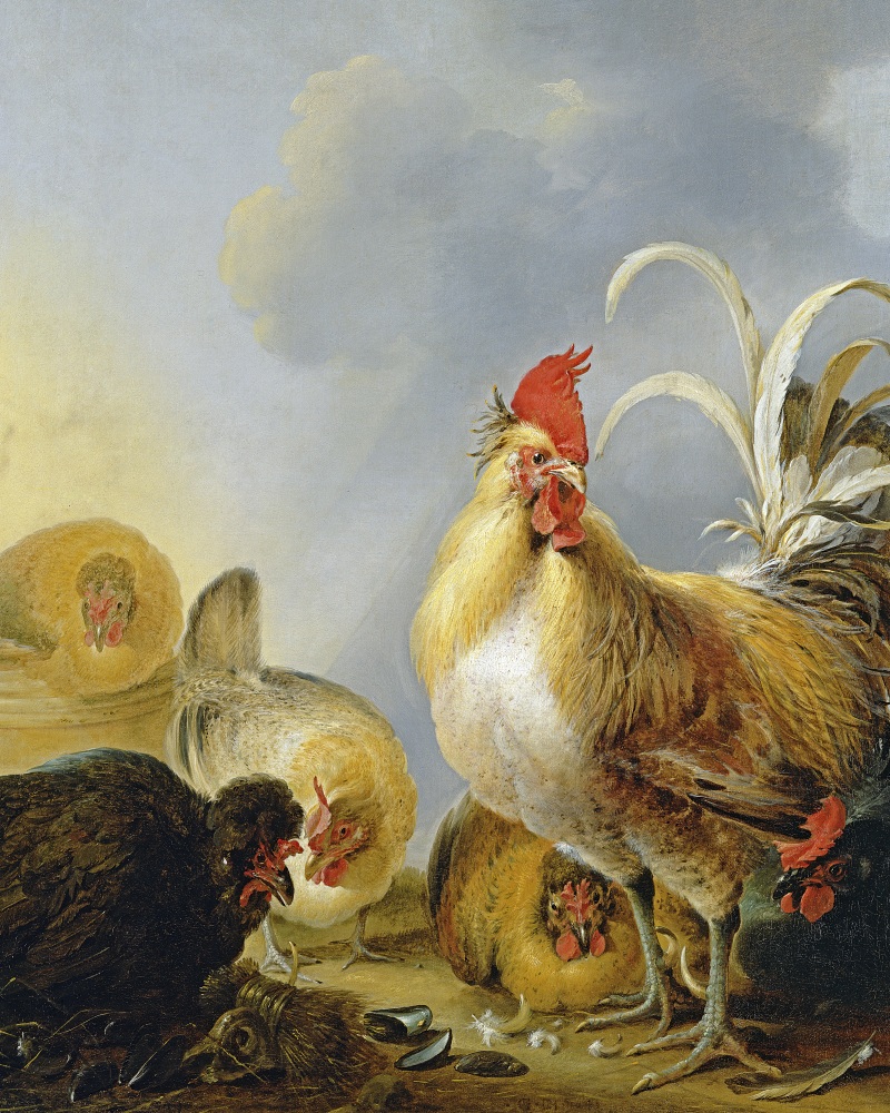 Canvas on Demand Poster Print 12 x 16 entitled A Group of Farmyard Fowl, 1643