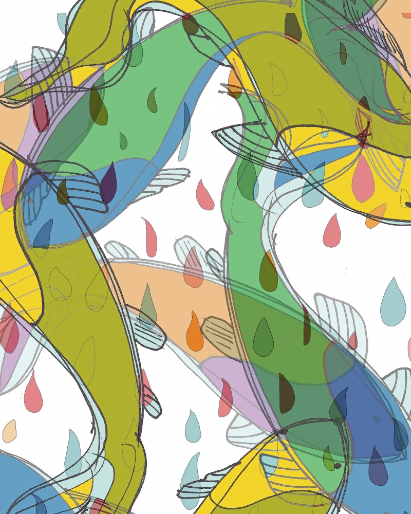 Canvas on Demand Poster Print 12 x 16 entitled Koi Patterns One