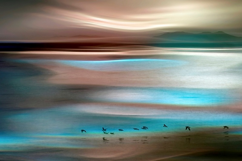 Canvas on Demand Poster Print 24 x 16 entitled Migrations
