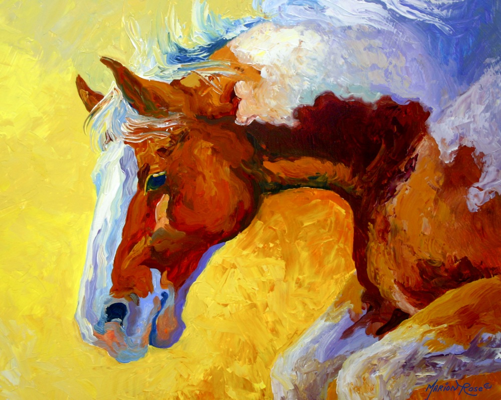 Canvas on Demand Poster Print 20 x 16 entitled Bronco