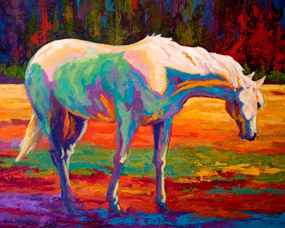 Canvas on Demand Poster Print 20 x 16 entitled White Mare II