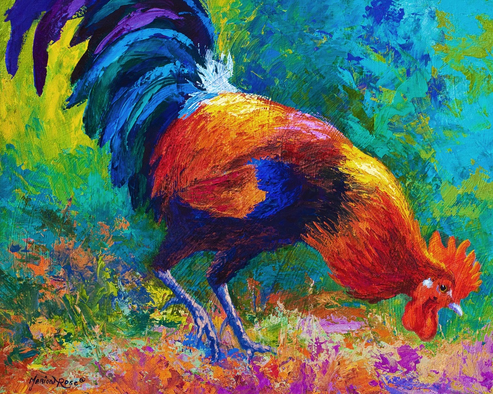 Canvas on Demand Poster Print 16 x 12 entitled Scratchin' Rooster
