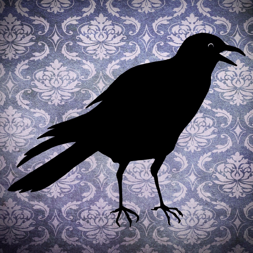 Canvas on Demand Poster Print 12 x 12 entitled Crow