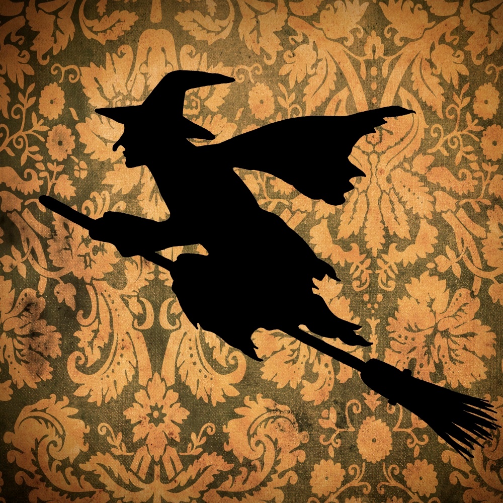 Canvas on Demand Poster Print 12 x 12 entitled Witch