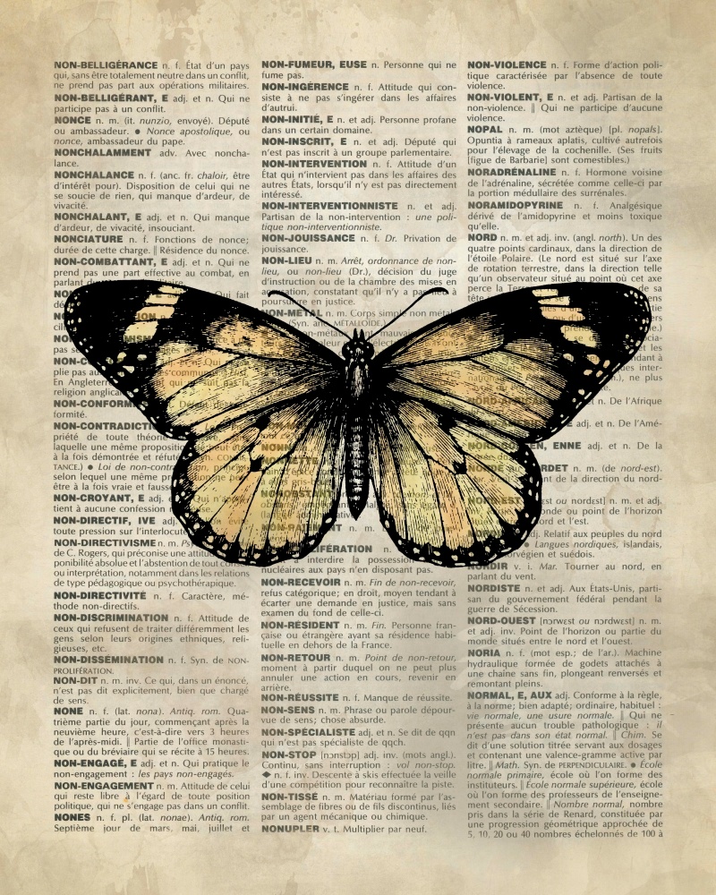 Canvas on Demand Poster Print 16 x 20 entitled Vintage Dictionary Art: Butterfly I