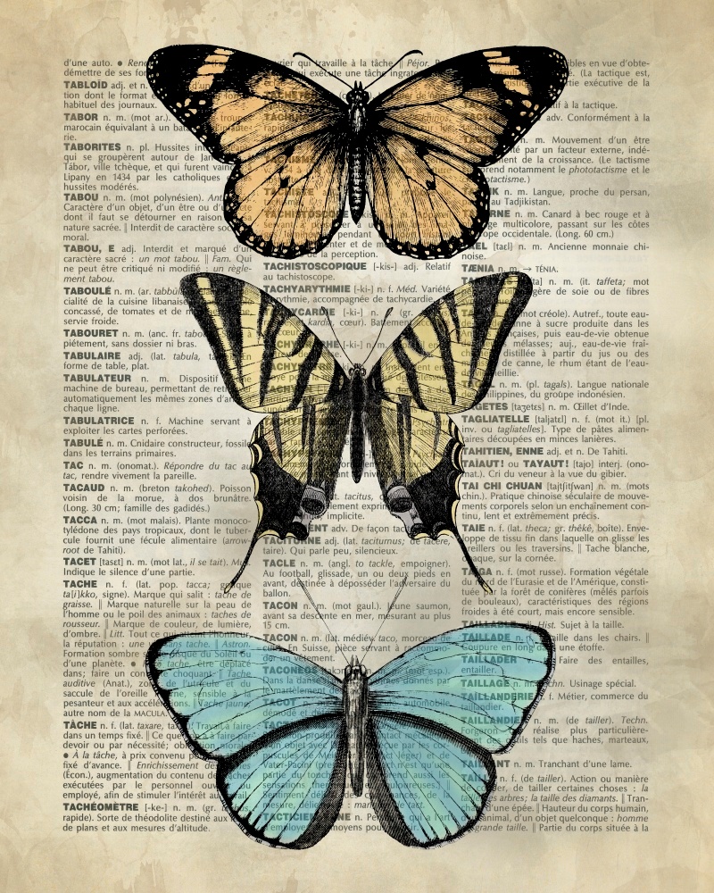 Canvas on Demand Poster Print 16 x 20 entitled Vintage Dictionary Art: Butterfly Specimen