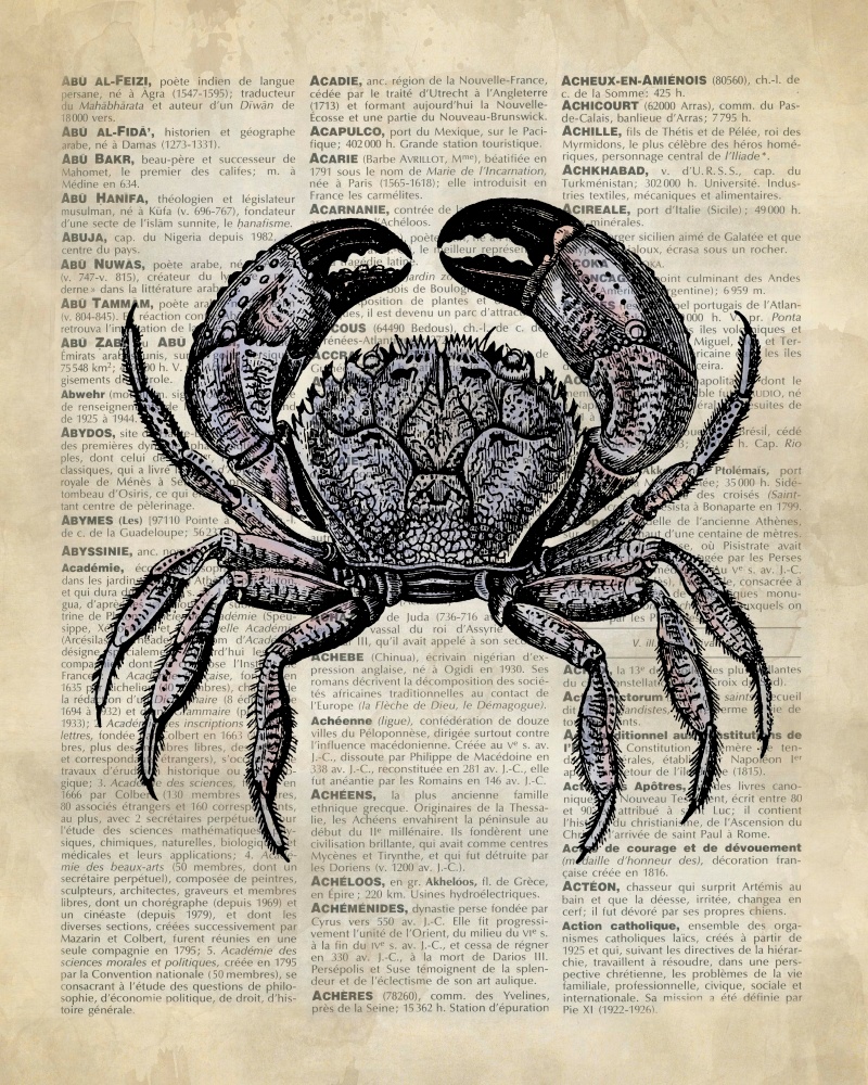 Canvas on Demand Poster Print 16 x 20 entitled Vintage Dictionary Art: Crab