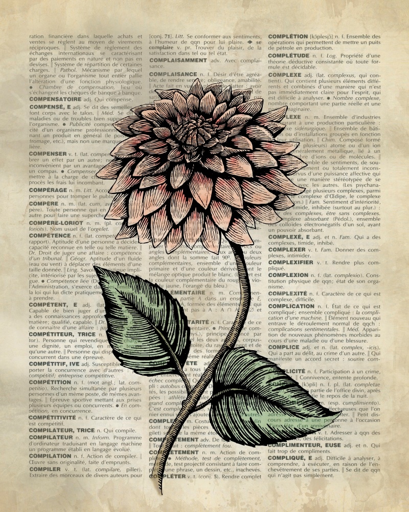 Canvas on Demand Poster Print 16 x 20 entitled Vintage Dictionary Art: Dahlia