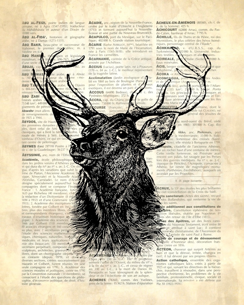 Canvas on Demand Poster Print 16 x 20 entitled Vintage Dictionary Art: Deer
