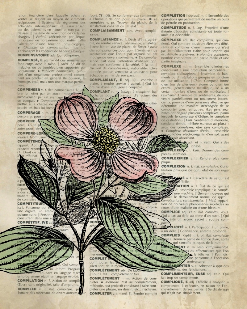 Canvas on Demand Poster Print 16 x 20 entitled Vintage Dictionary Art: Dogwood