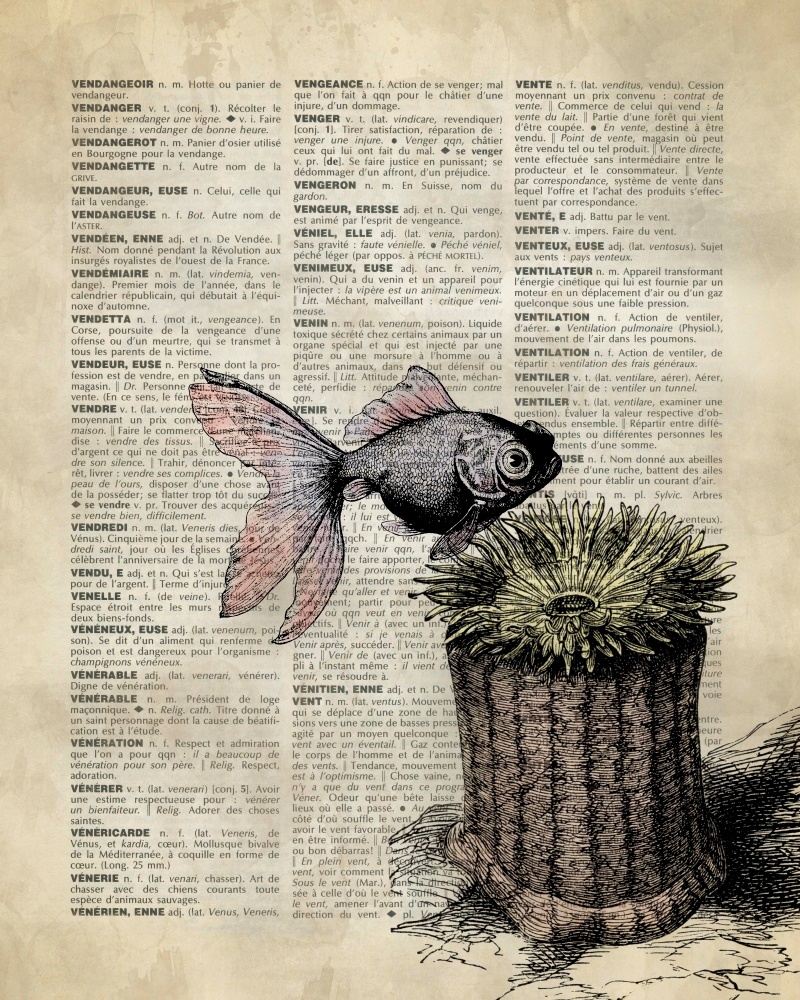 Canvas on Demand Poster Print 16 x 20 entitled Vintage Dictionary Art: Fish and Anemone