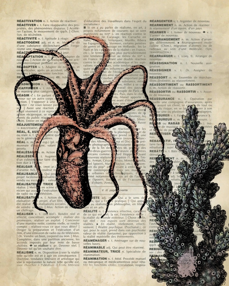 Canvas on Demand Poster Print 16 x 20 entitled Vintage Dictionary Art: Octopus