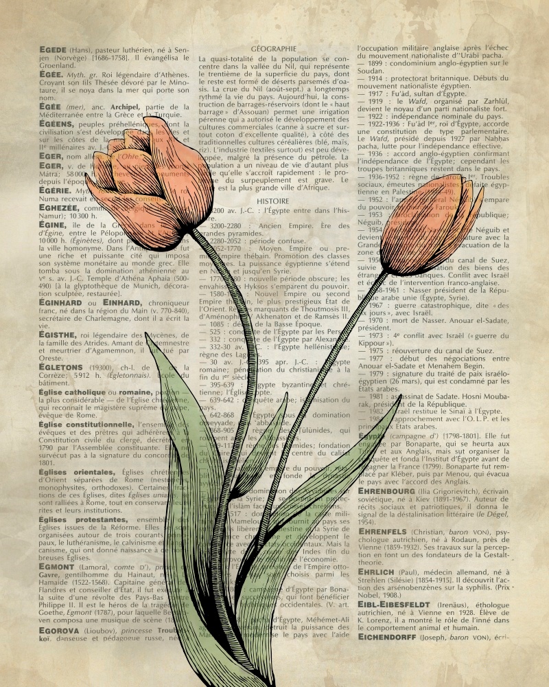 Canvas on Demand Poster Print 16 x 20 entitled Vintage Dictionary Art: Tulips
