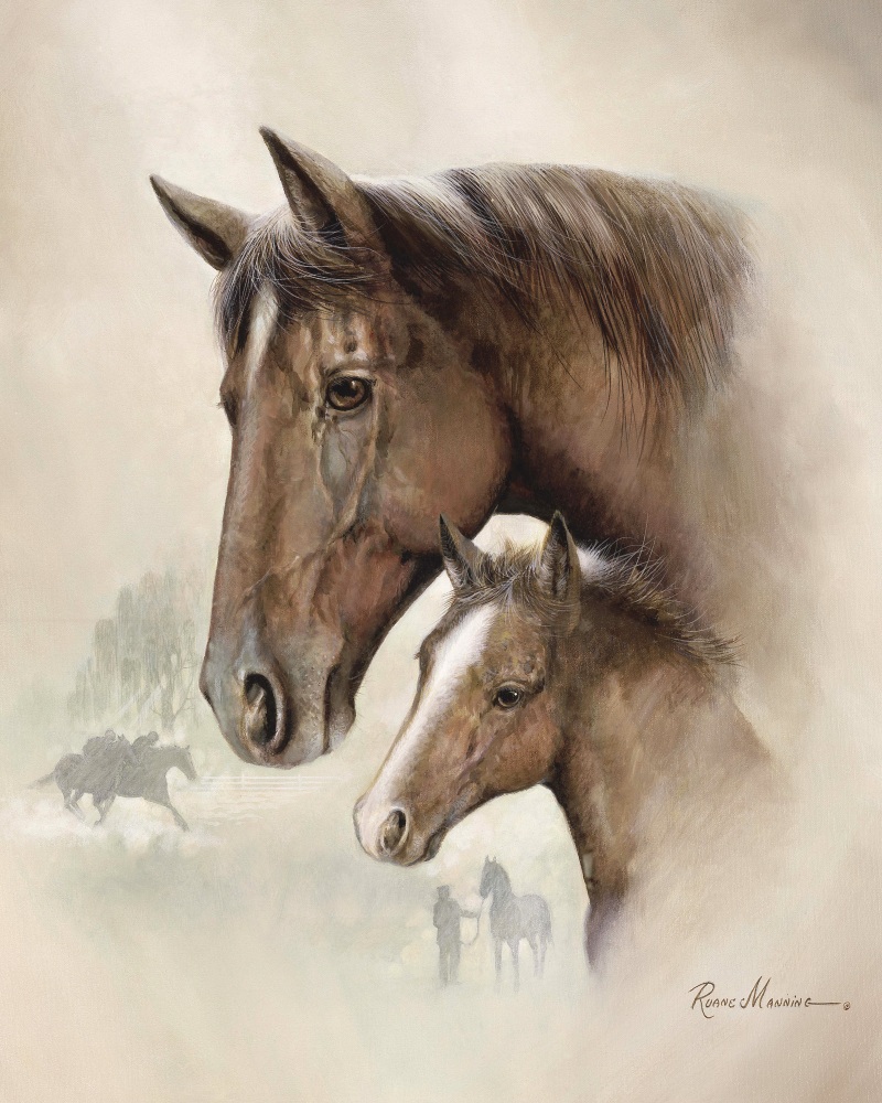 Canvas on Demand Poster Print 16 x 20 entitled Race Horse I