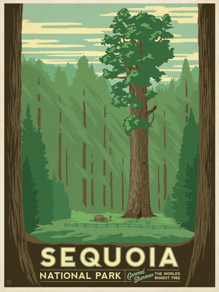 Canvas on Demand Poster Print 12 x 16 entitled Sequoia National Park, California - Retro Travel Poster