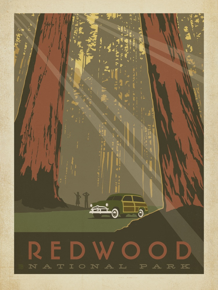 Canvas on Demand Poster Print 12 x 16 entitled Redwood National Park, California - Retro Travel Poster
