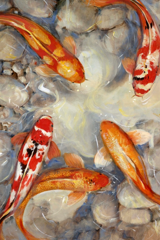 Canvas on Demand Poster Print 12 x 16 entitled Vibrant Koi I
