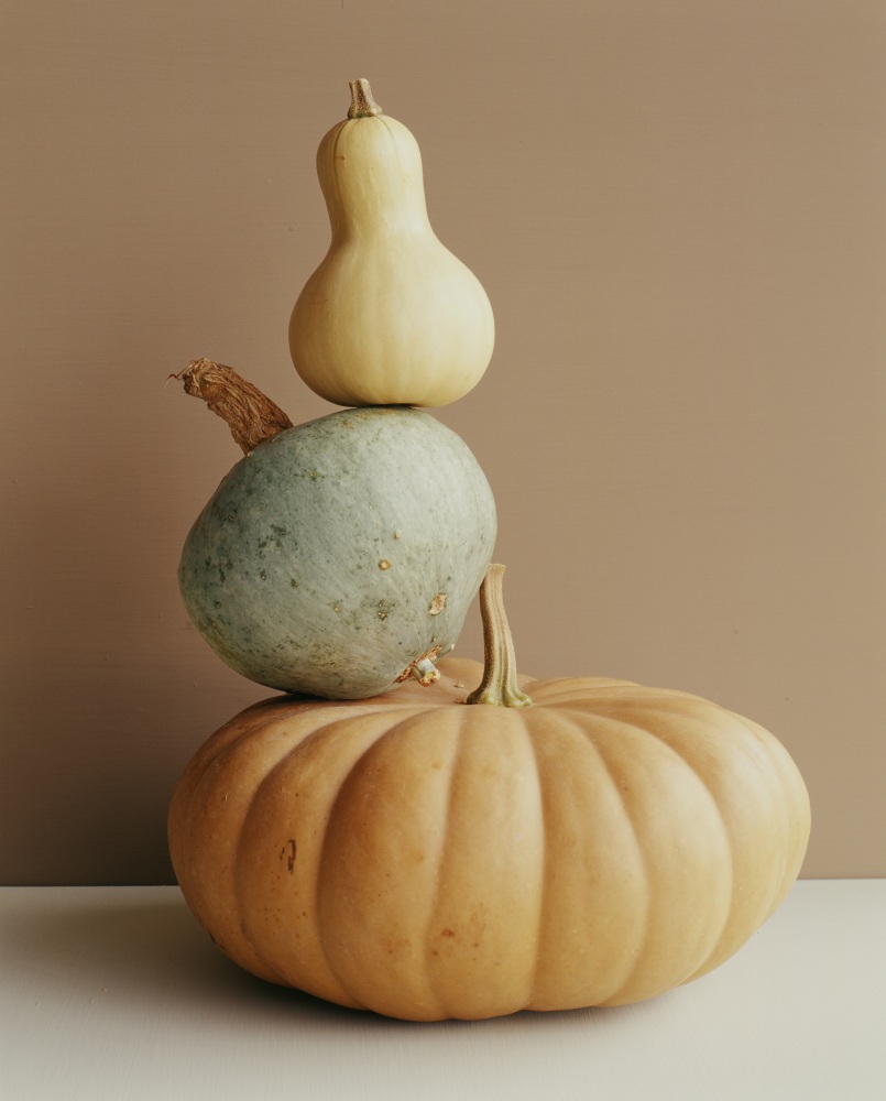 Canvas on Demand Poster Print 16 x 20 entitled A pumpkin and two gourds