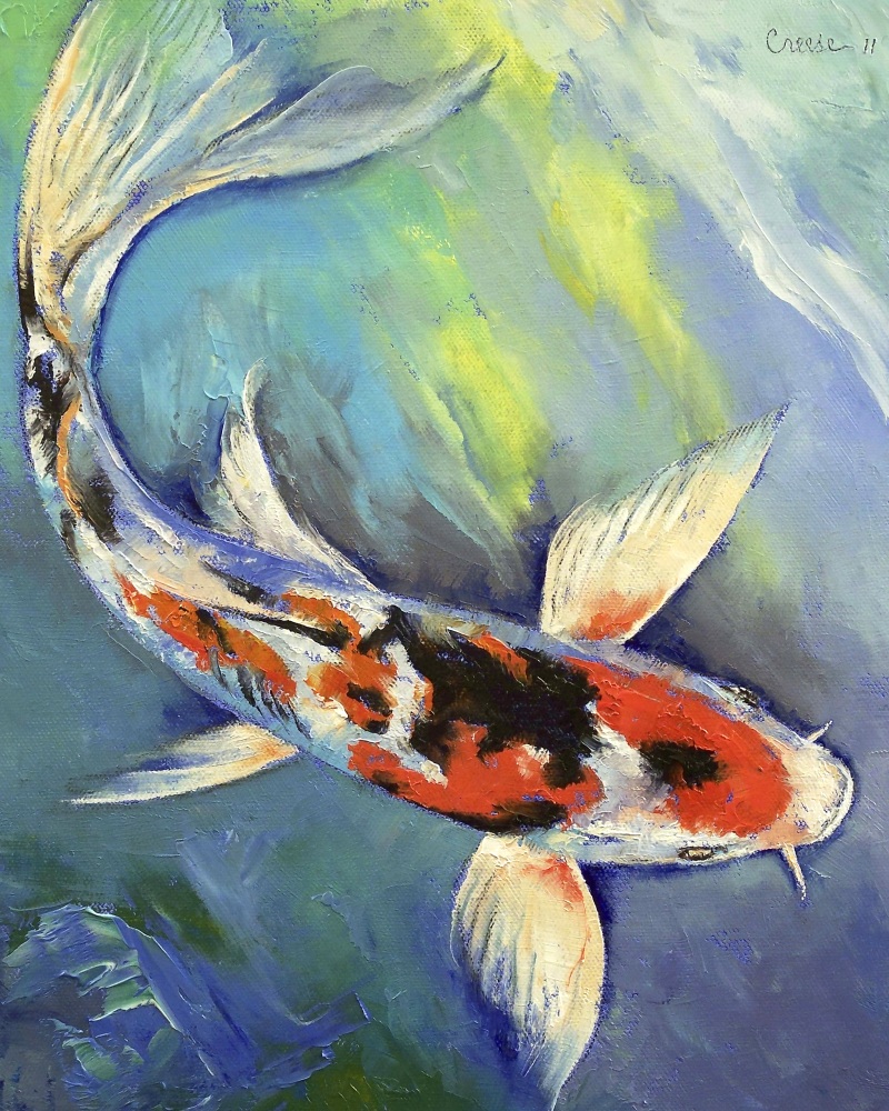 Canvas on Demand Poster Print 12 x 16 entitled Showa Butterfly Koi