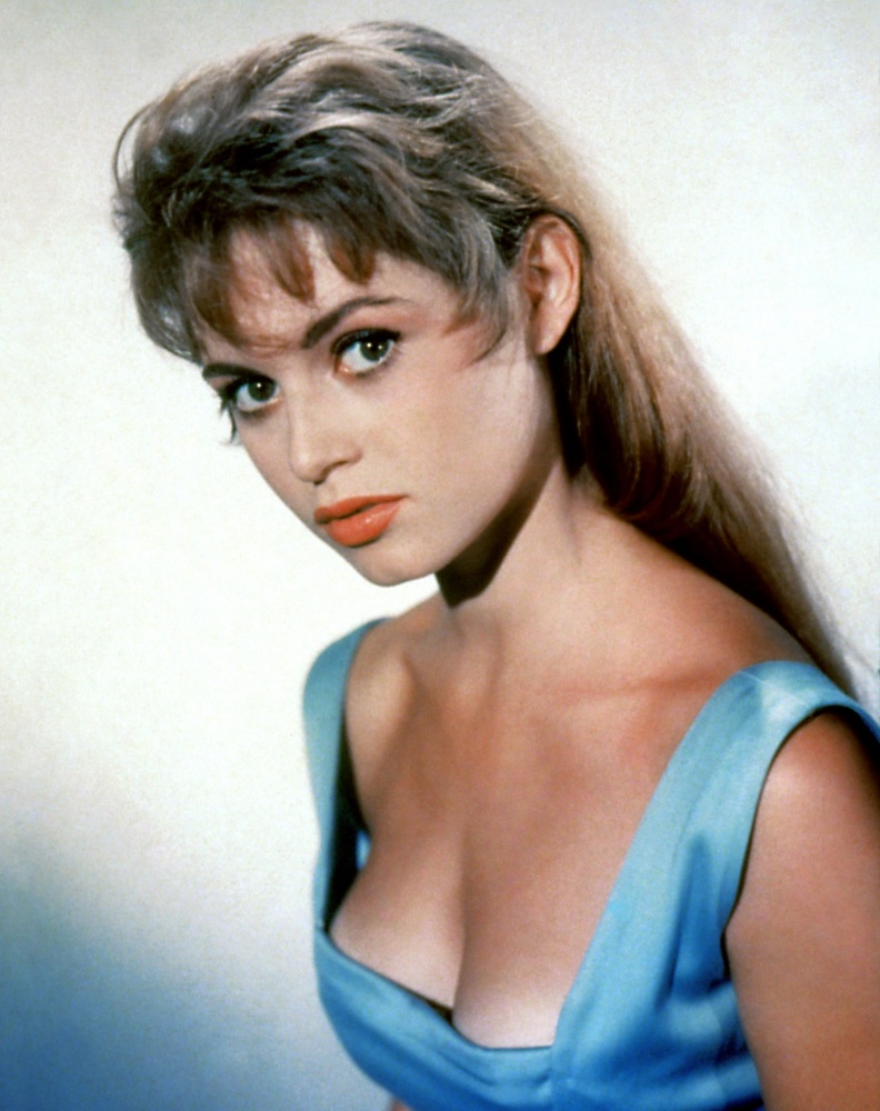 Canvas on Demand Poster Print 16 x 20 entitled Brigitte Bardot