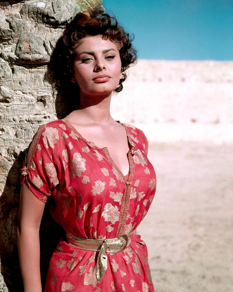 Canvas on Demand Poster Print 16 x 20 entitled Sophia Loren