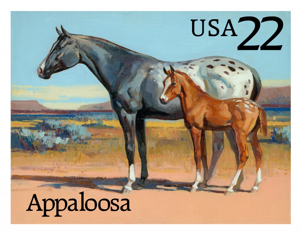 Canvas on Demand Poster Print 20 x 16 entitled Appaloosa Postage Stamp Art
