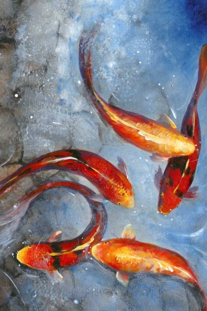Canvas on Demand Poster Print 12 x 16 entitled Graceful Koi I