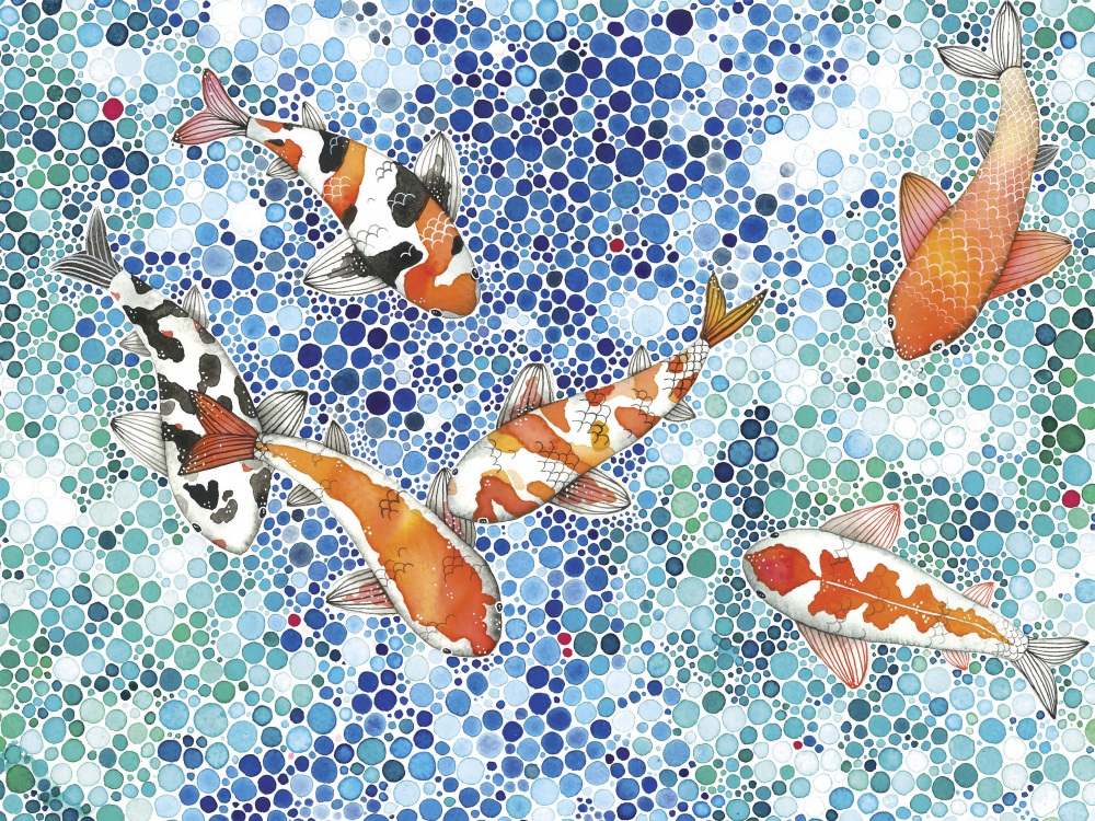 Canvas on Demand Poster Print 16 x 12 entitled Koi