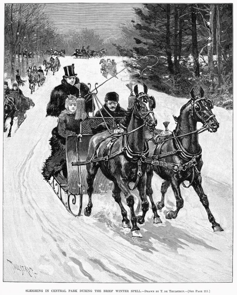 Canvas on Demand Poster Print 16 x 20 entitled Central Park, 1890