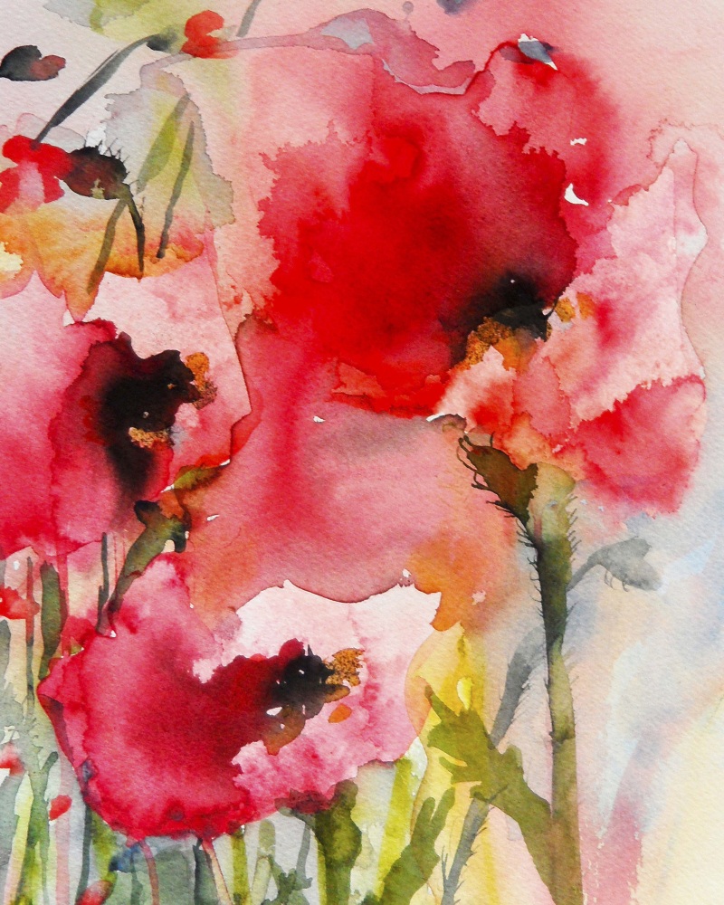 Canvas on Demand Poster Print 12 x 16 entitled Summer Poppies