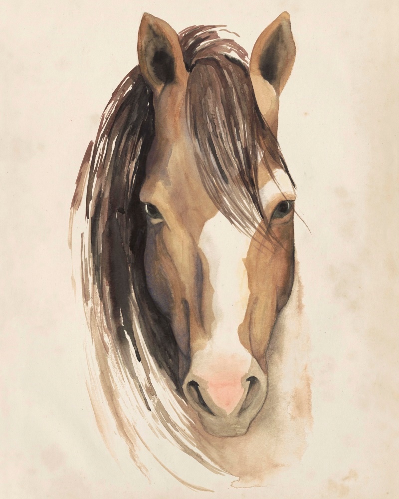 Canvas on Demand Poster Print 16 x 20 entitled Watercolor Animal Study V