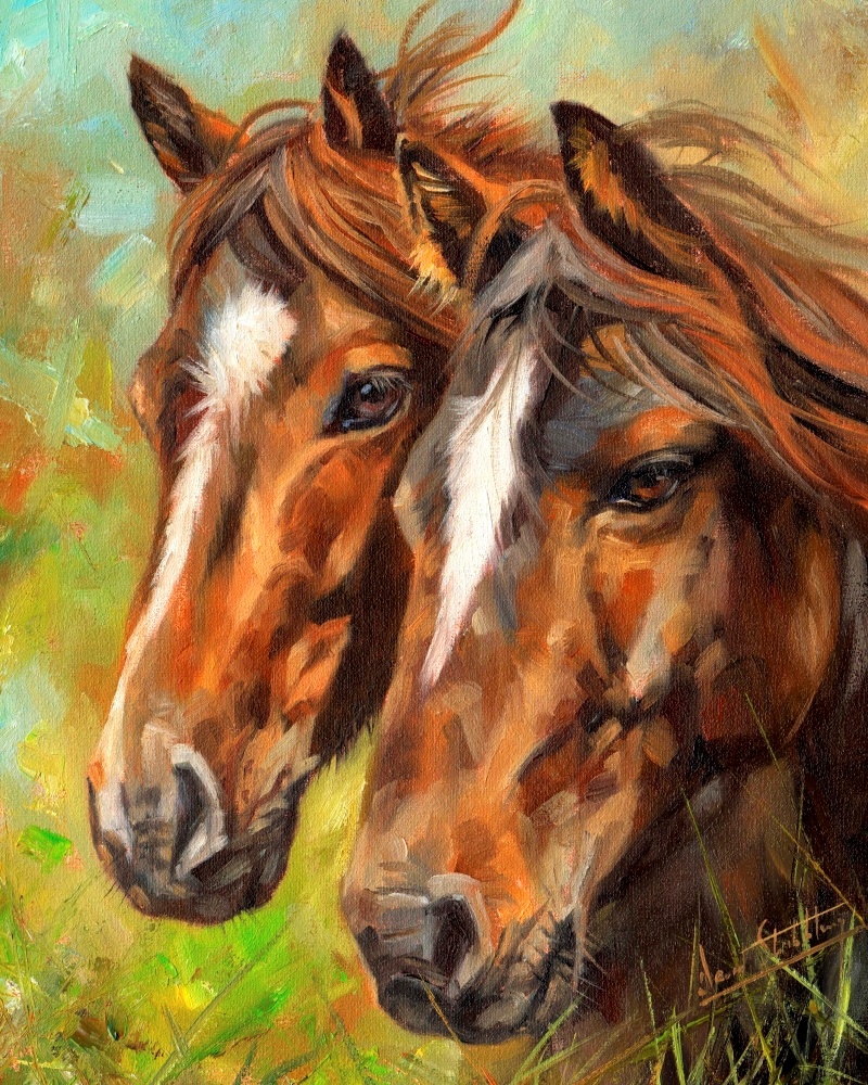 Canvas on Demand Poster Print 16 x 20 entitled Pair Of Horses