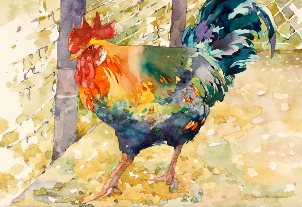 Canvas on Demand Poster Print 16 x 12 entitled Colorful Rooster