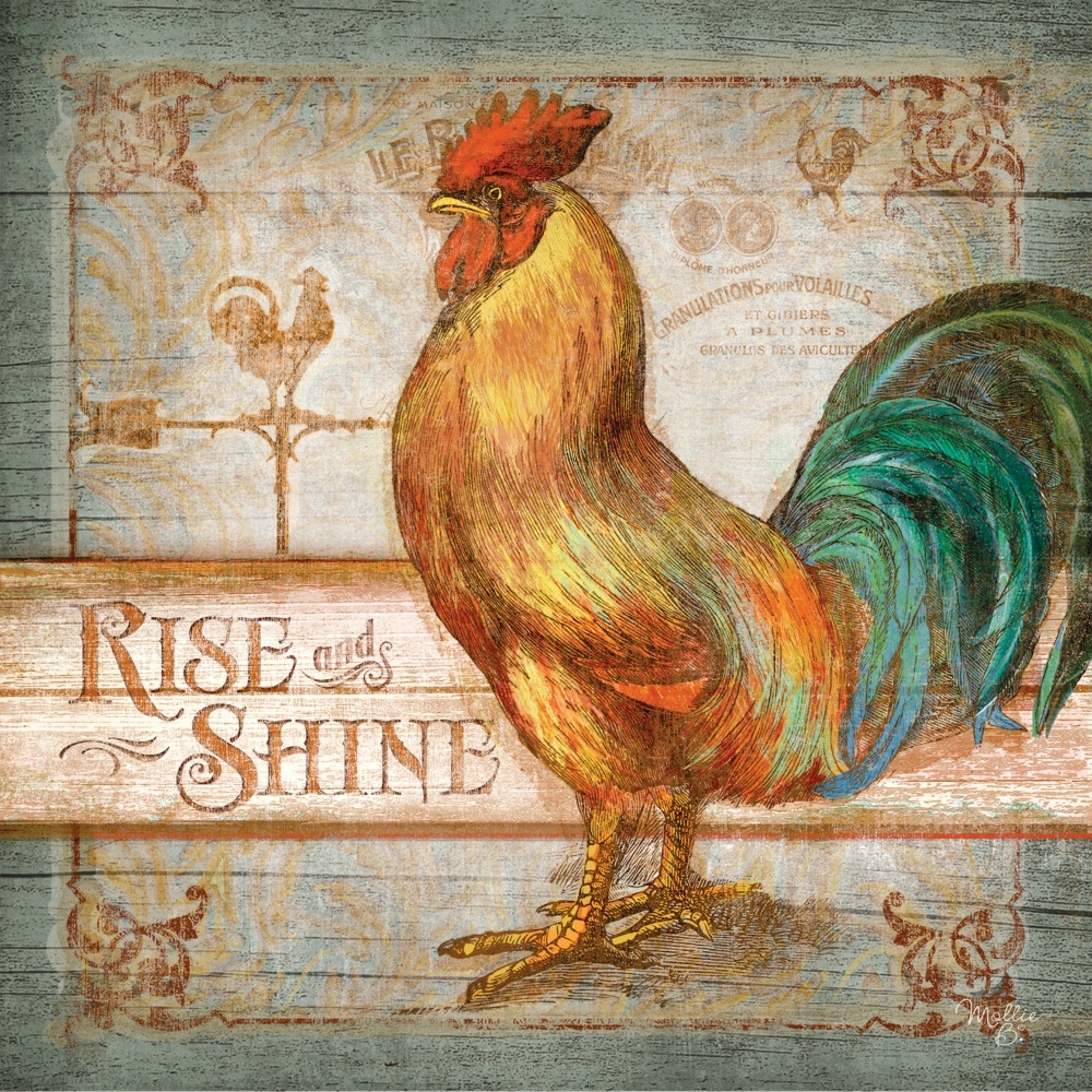 Canvas on Demand Poster Print 12 x 12 entitled Rise and Shine Rooster