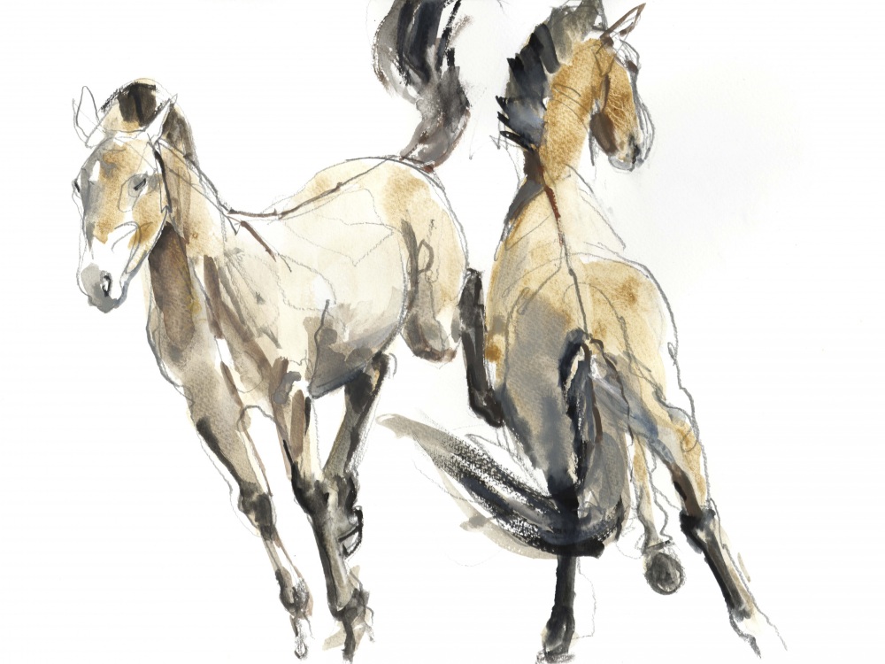 Canvas on Demand Poster Print 16 x 12 entitled Horsing, 2013