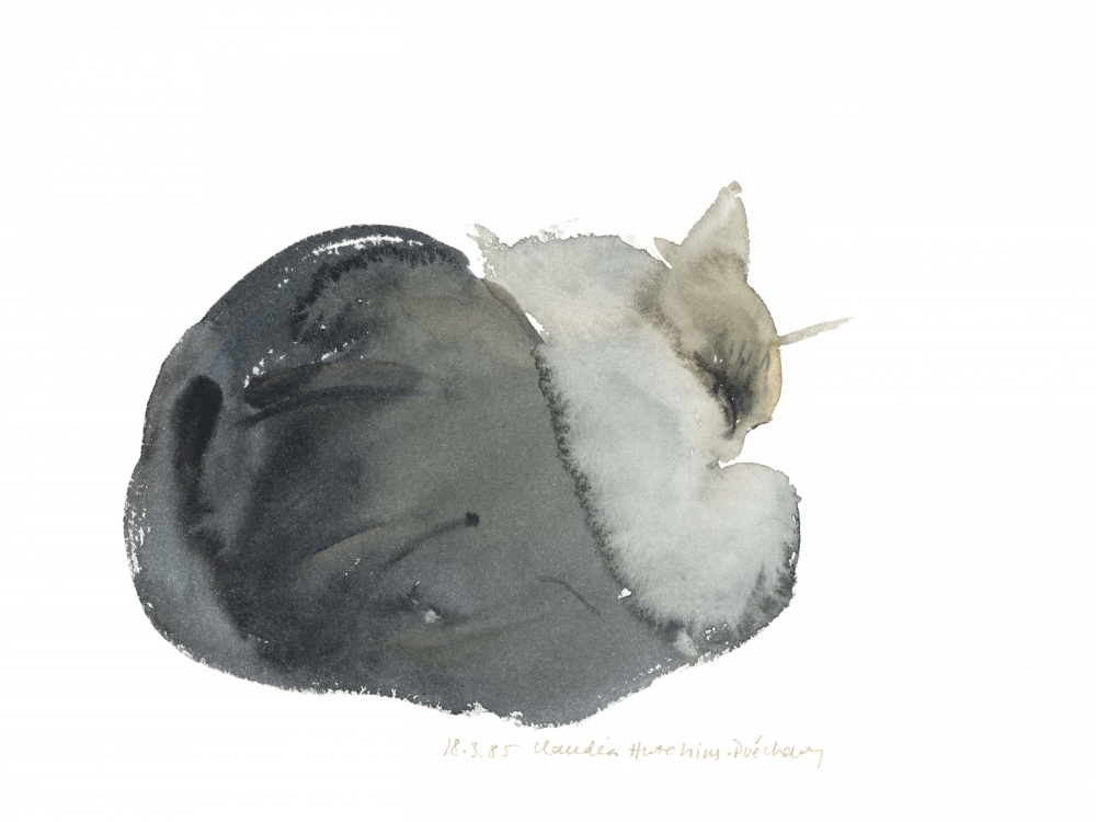 Canvas on Demand Poster Print 16 x 12 entitled Sleeping Cat, 1985