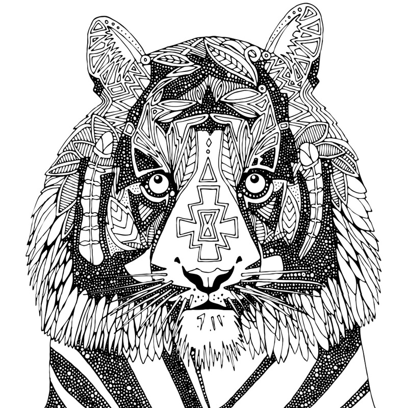 Tiger Chief