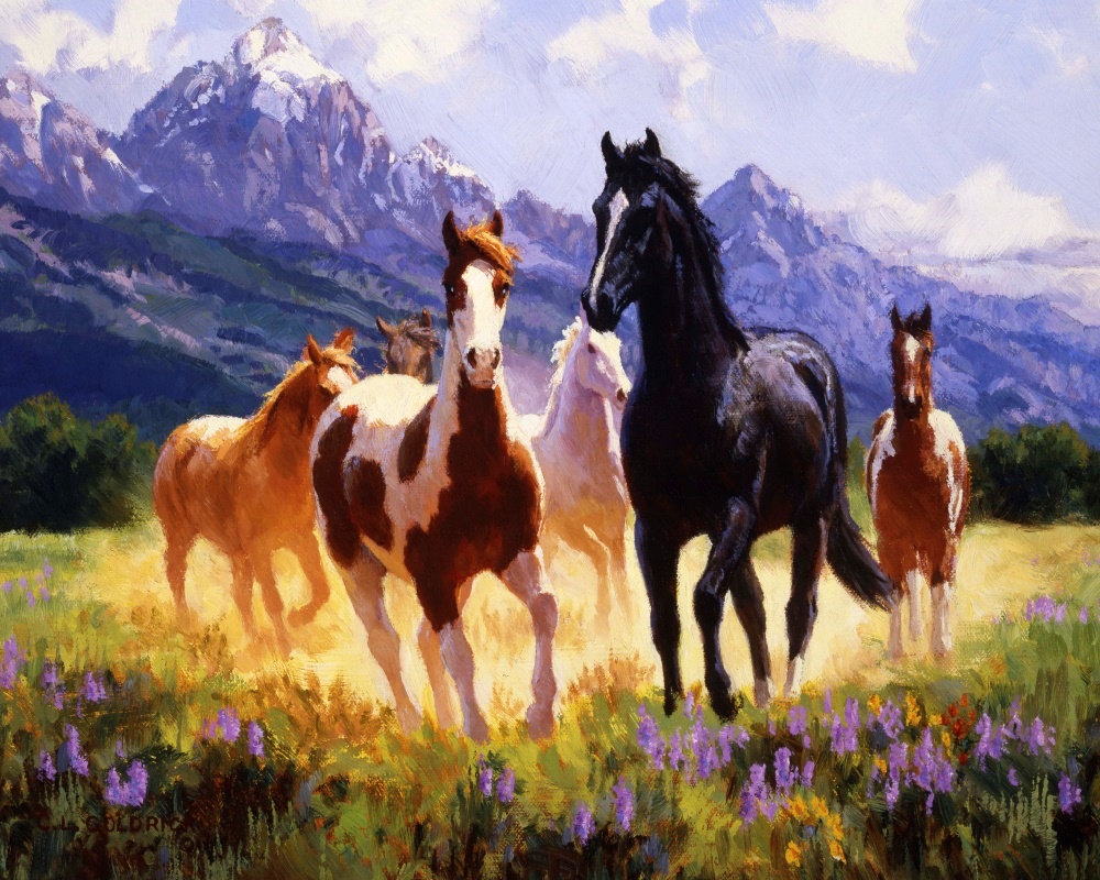 Canvas on Demand Poster Print 20 x 16 entitled Summer Days