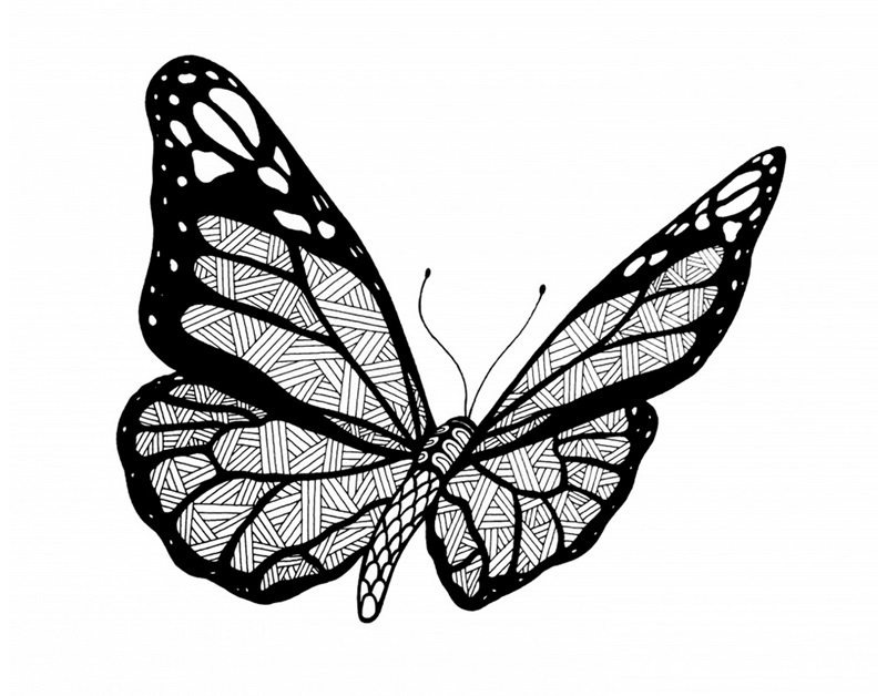 BW Butterfly