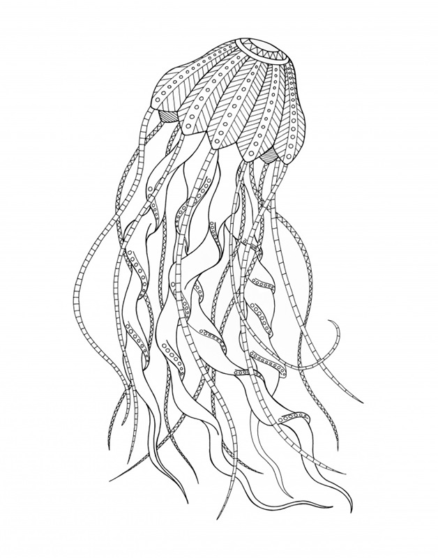 BW Jellyfish