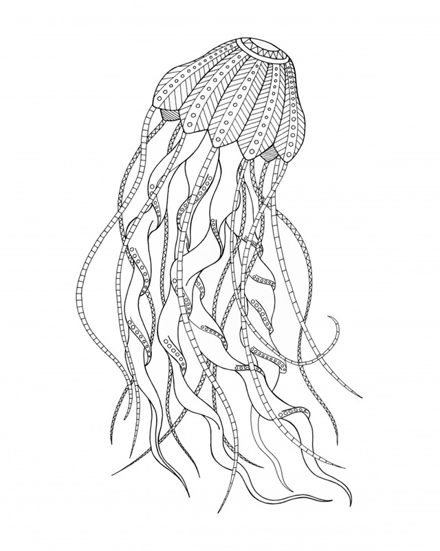 BW Jellyfish