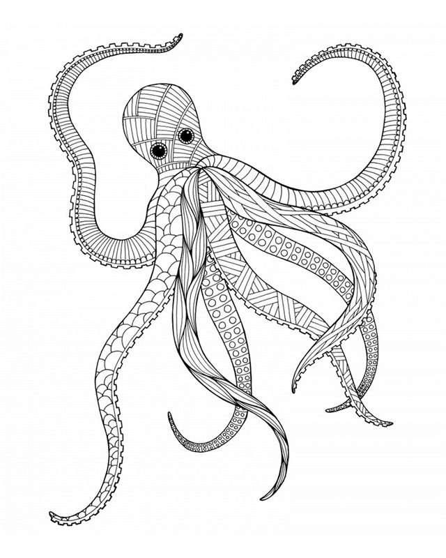 BW Octopus