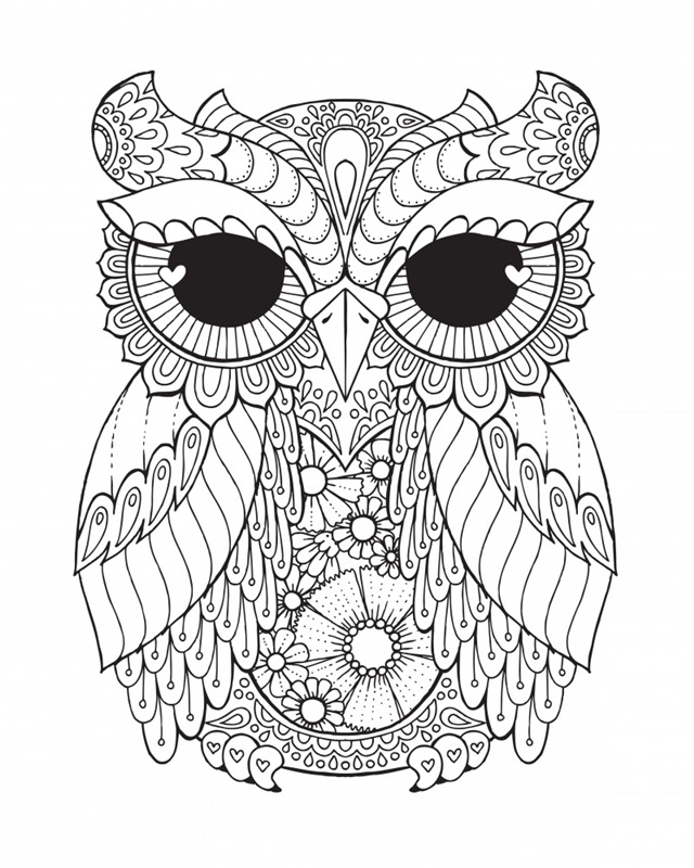 Owl III