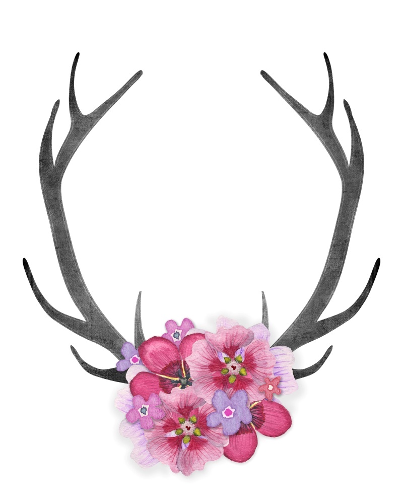 Canvas on Demand Poster Print 16 x 20 entitled Antlers Pink Flowers