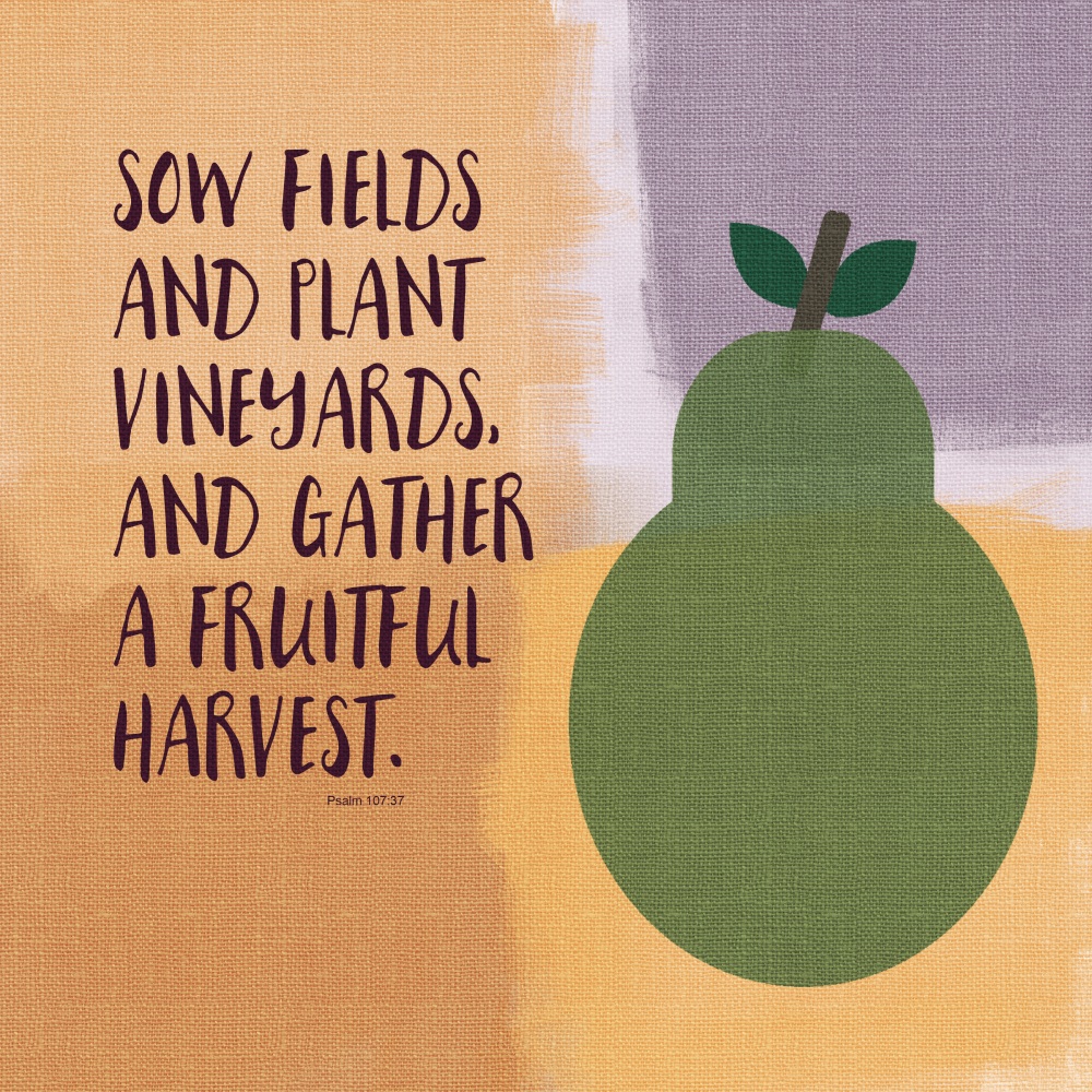Canvas on Demand Poster Print 12 x 12 entitled Psalm107 Fruitfulharvest