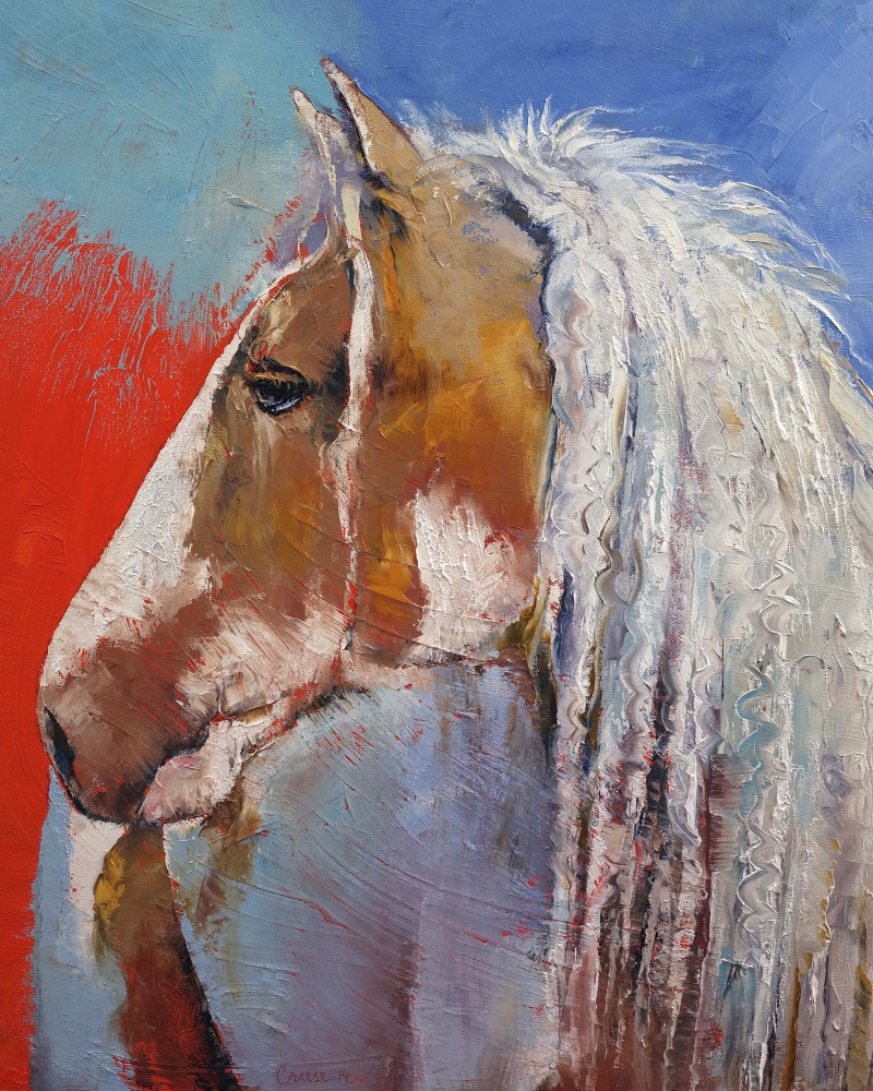 Canvas on Demand Poster Print 16 x 20 entitled Gypsy Vanner - Horse Portrait
