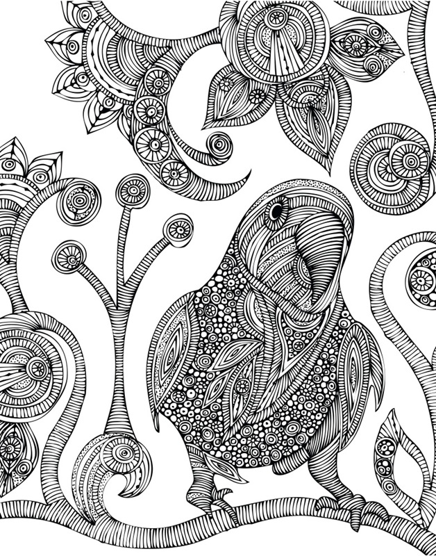 Peter The Parrot - Black And White
