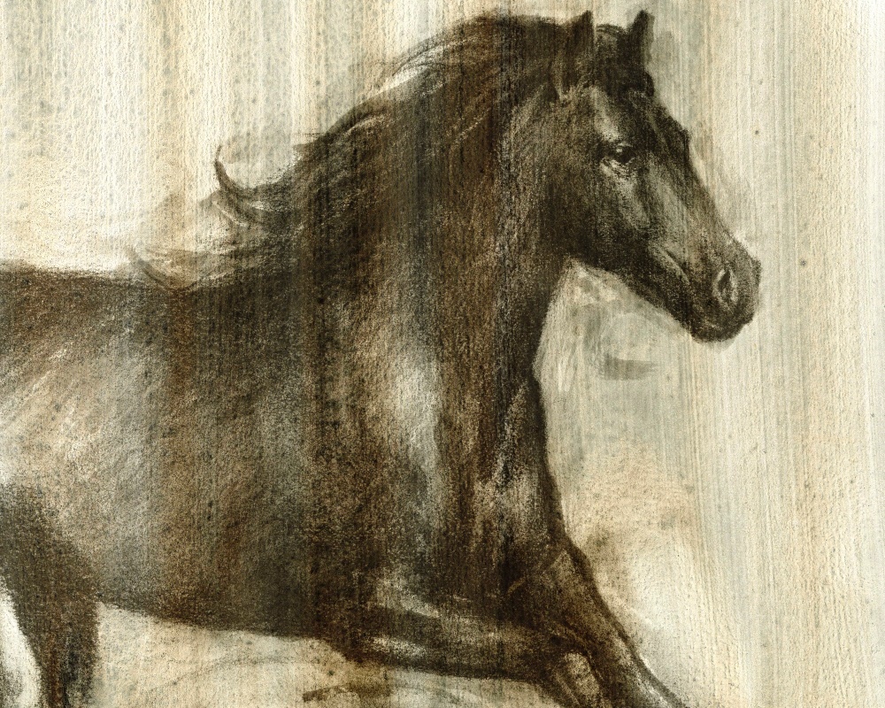 Canvas on Demand Poster Print 20 x 16 entitled Dynamic Stallion I