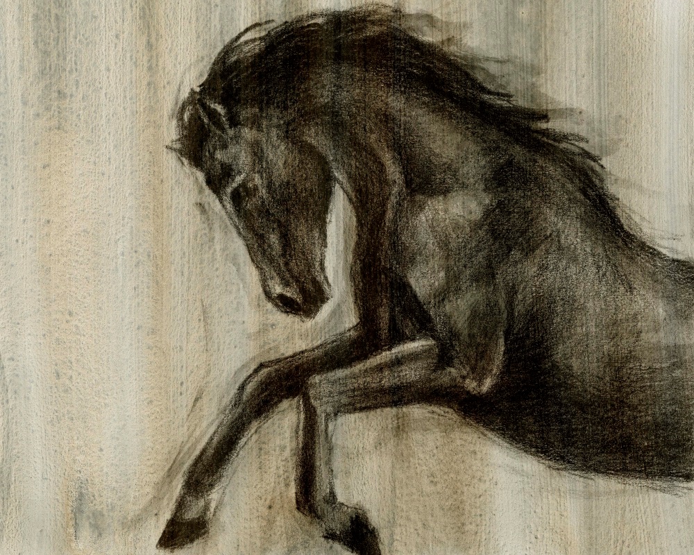 Canvas on Demand Poster Print 20 x 16 entitled Dynamic Stallion II