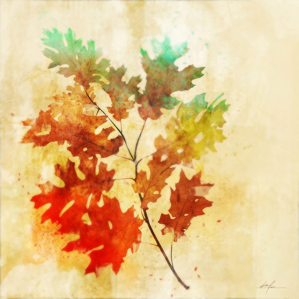 Canvas on Demand Poster Print 12 x 12 entitled Vibrant Autumn II